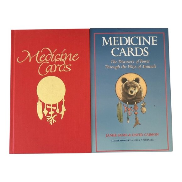 Medicine Cards Discovery of Power Throughout Ways of Animals Book Cards Vtg1988 - Picture 3 of 14